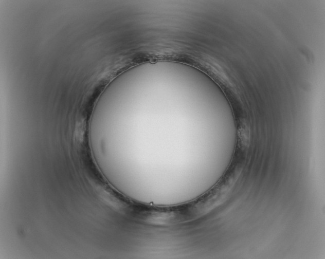 X0000113030458200909101901