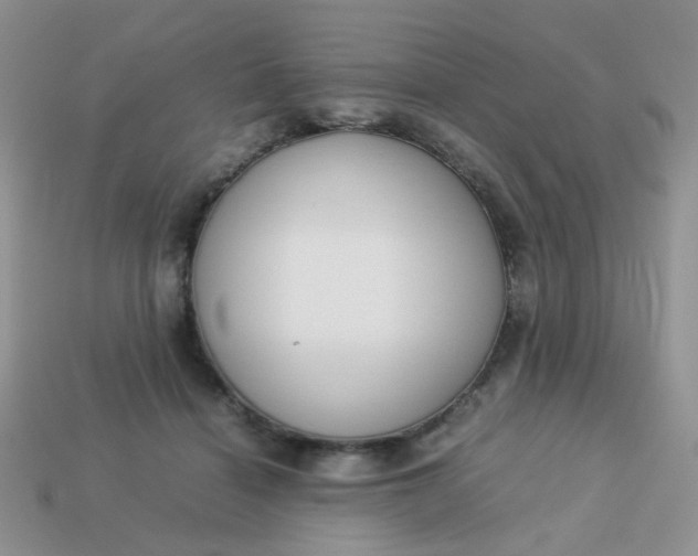 X0000113030460200909101901