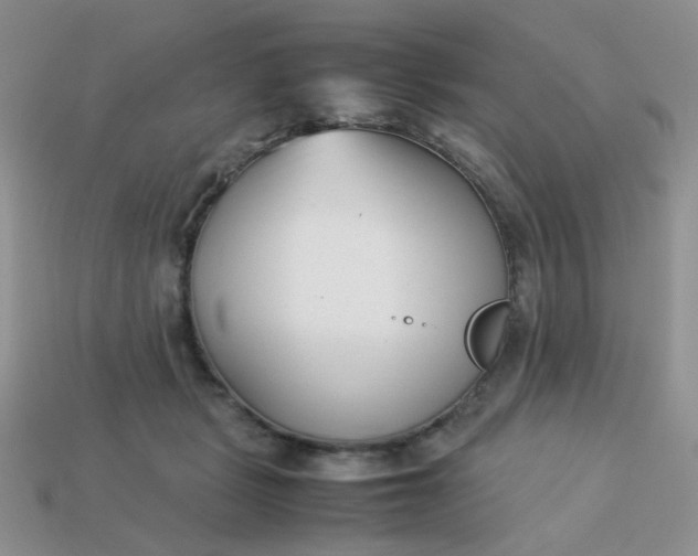 X0000113030461200909101901