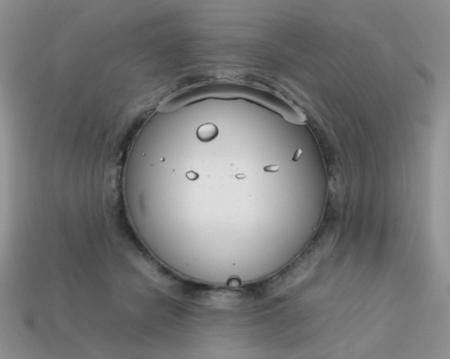 X0000113030462200909101901