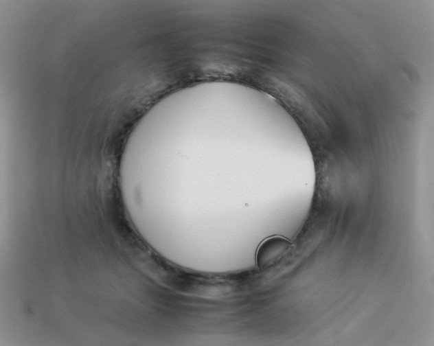 X0000113030463200909101901