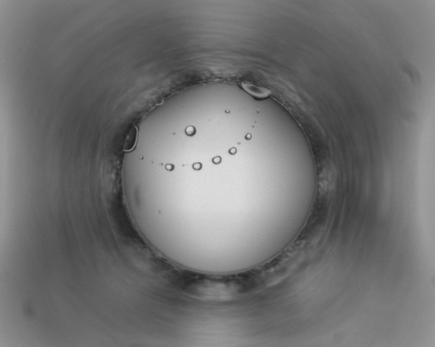 X0000113030464200909101901