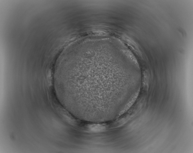 X0000113030465200909101901