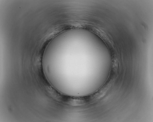 X0000113030466200909101901