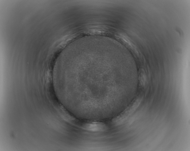 X0000113030467200909101901