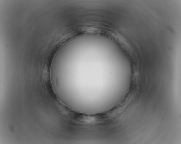 X0000113030469200909101901