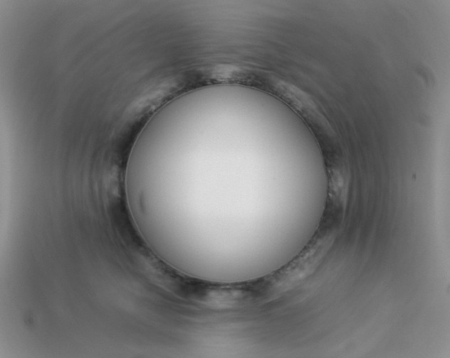 X0000113030470200909101901