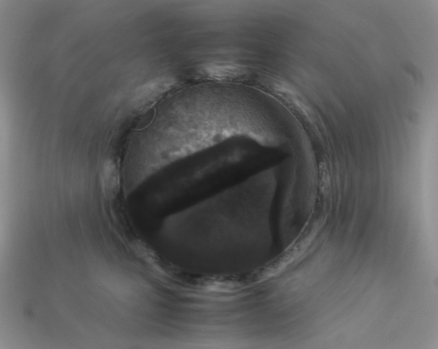 X0000113030471200909101901