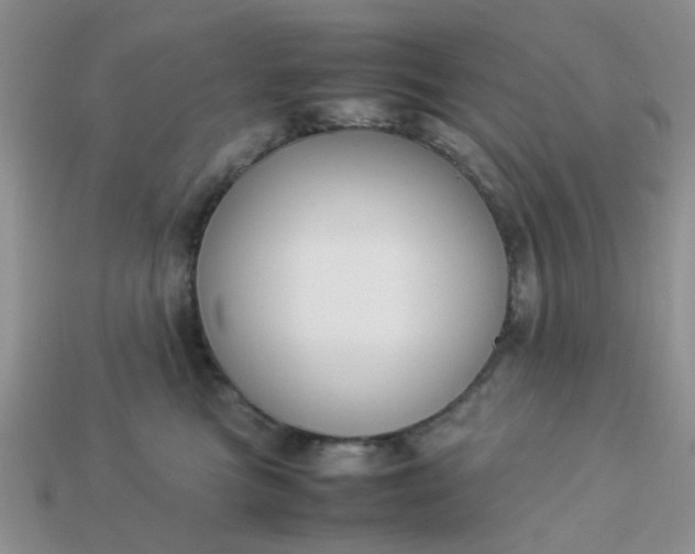 X0000113030473200909101901