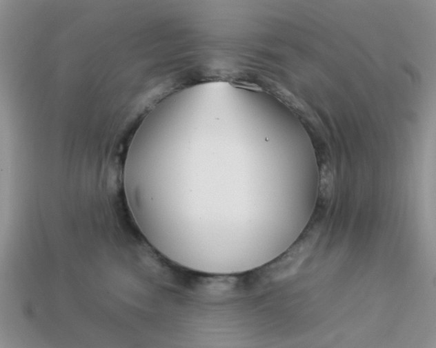 X0000113030474200909101901