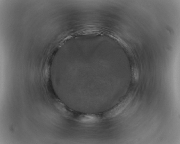 X0000113030475200909101901