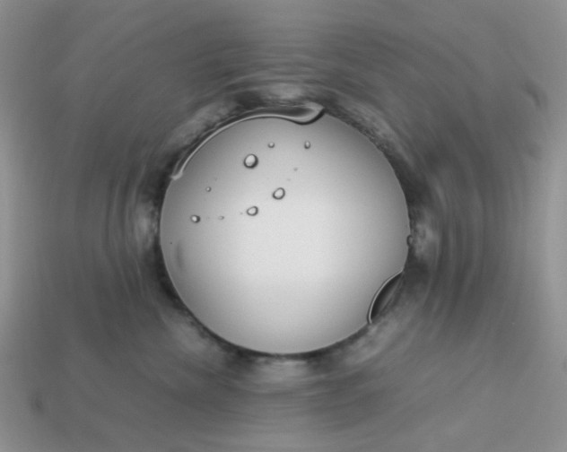 X0000113030476200909101901