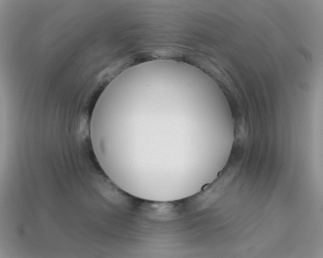 X0000113030478200909101901