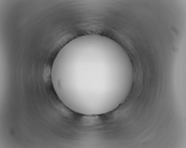 X0000113030480200909101901