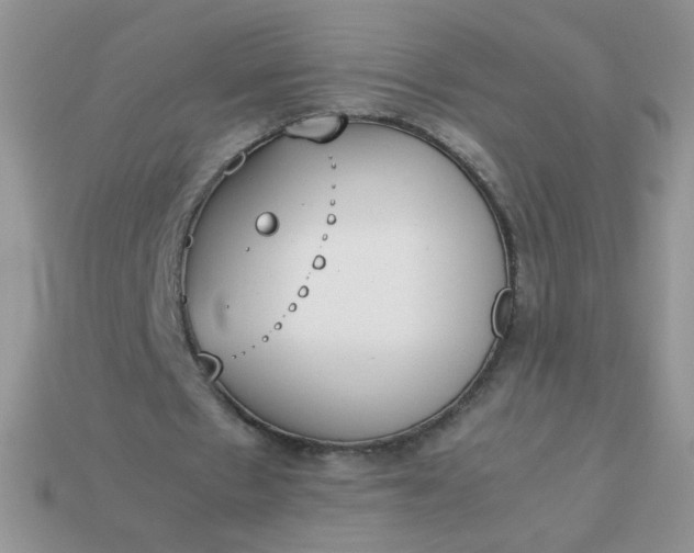 X0000113030481200909101901