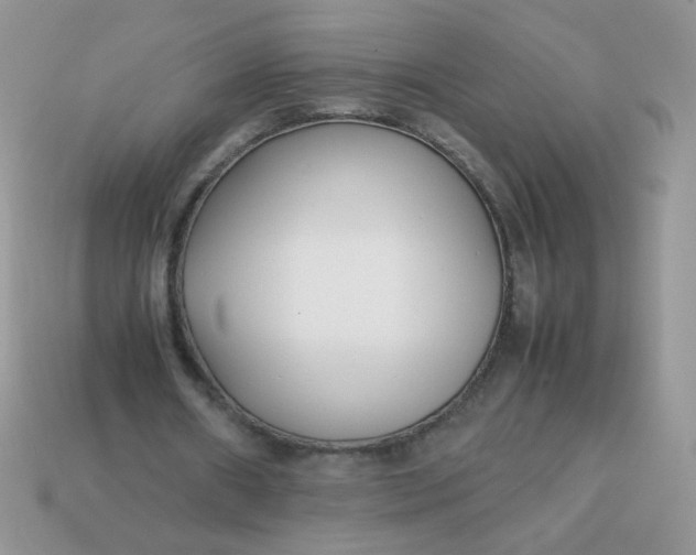 X0000113030482200909101901