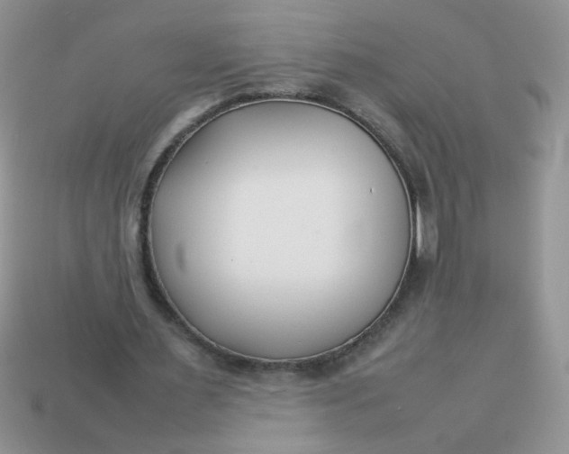 X0000113030483200909101901