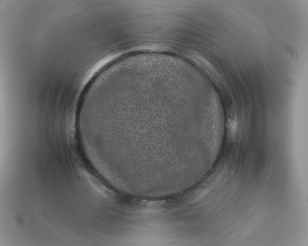 X0000113030484200909101901