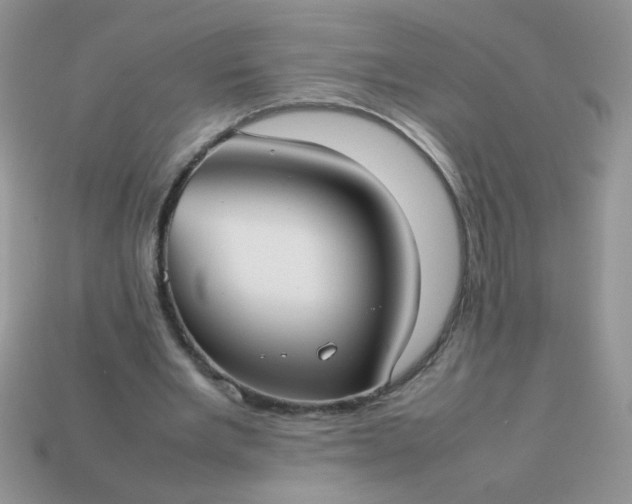 X0000113030485200909101901