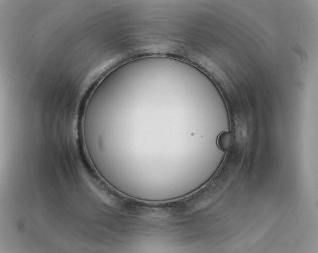 X0000113030486200909101901