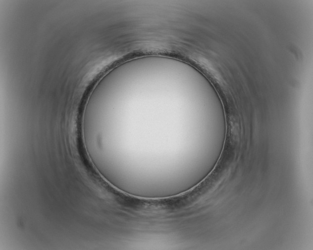 X0000113030487200909101901