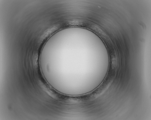 X0000113030490200909101901