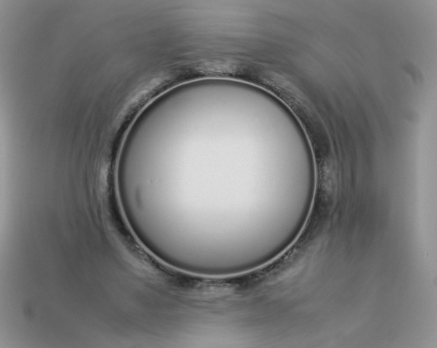 X0000113030491200909101901