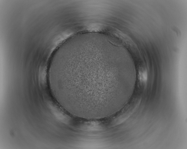 X0000113030492200909101901