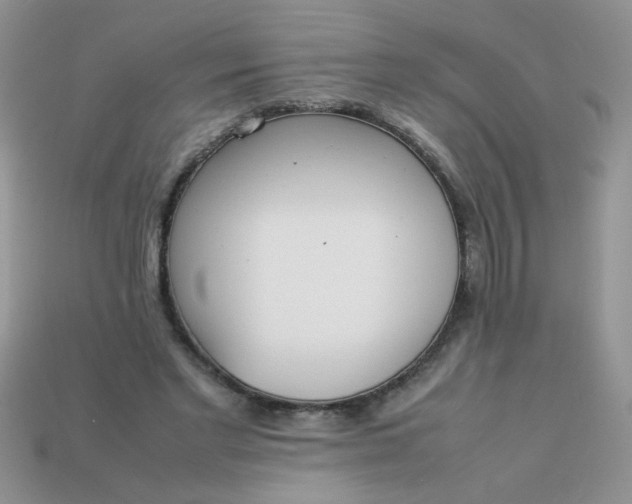 X0000113030493200909101901