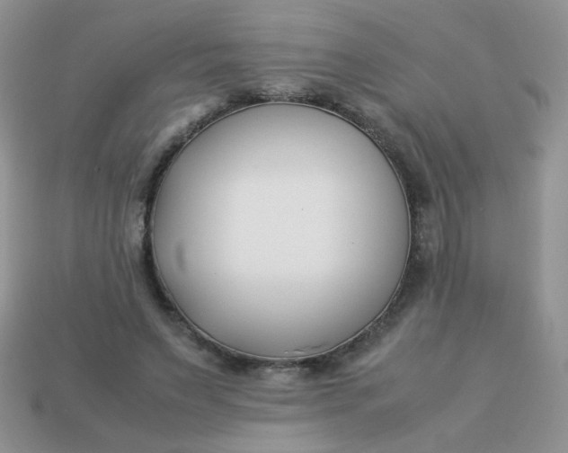 X0000113030495200909101901