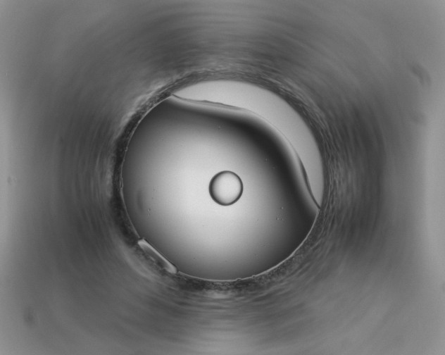 X0000113030496200909101901