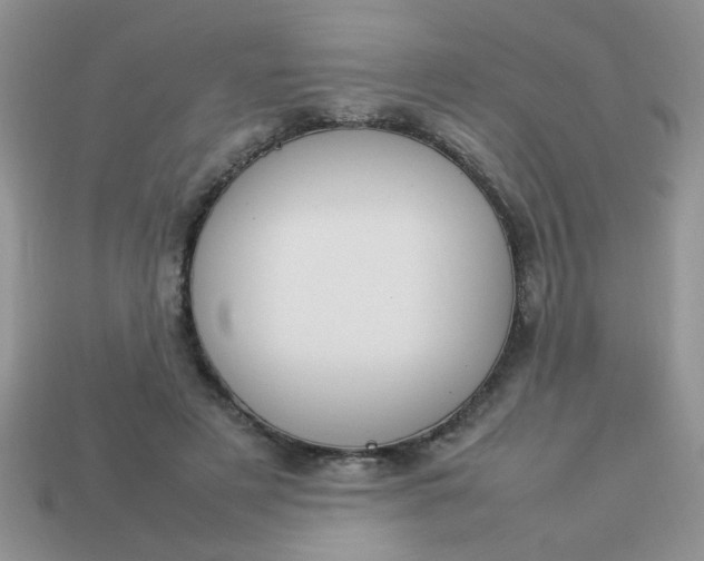 X0000113030497200909101901