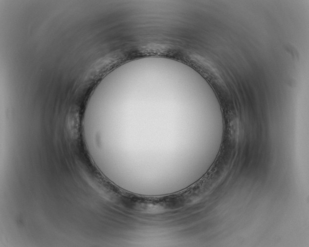 X0000113030498200909101901