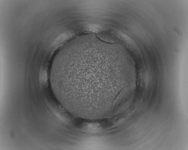 X0000113030500200909101900