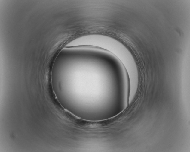 X0000113030501200909101900