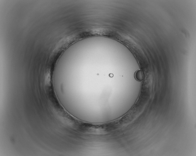 X0000113030502200909101900