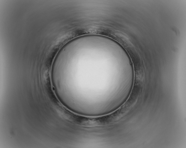 X0000113030503200909101900