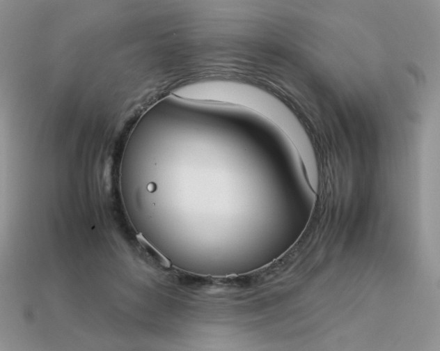 X0000113030504200909101900