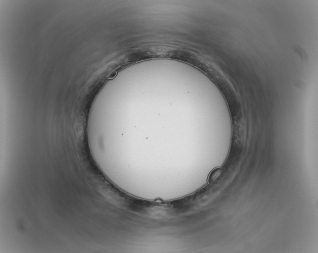 X0000113030505200909101900