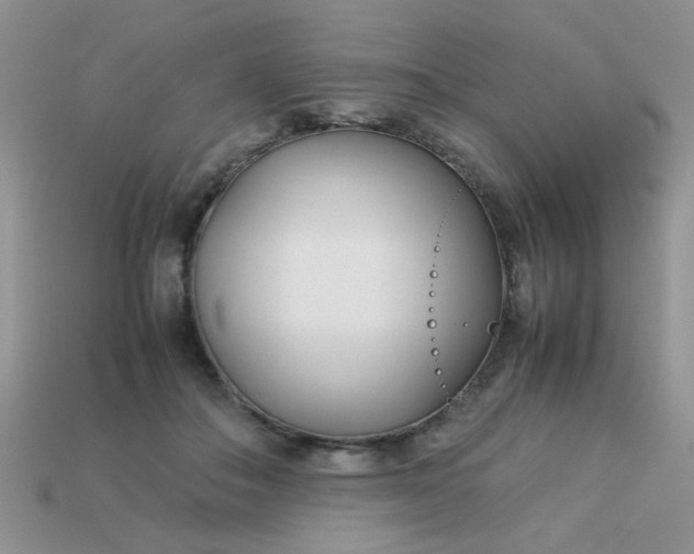 X0000113030506200909101900