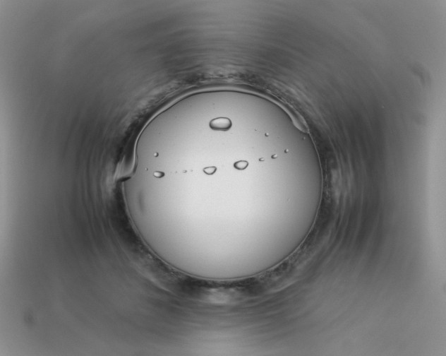 X0000113030508200909101900