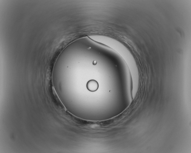 X0000113030509200909101900