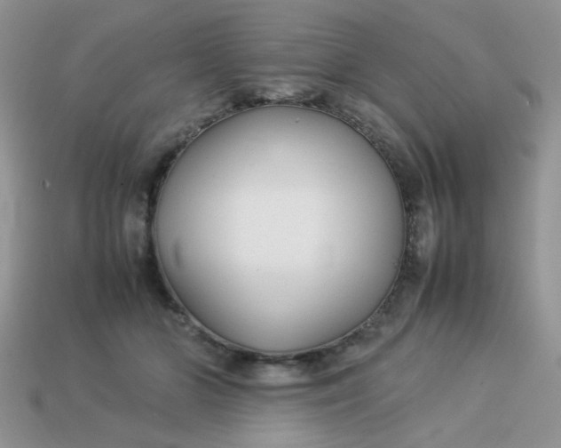 X0000113030510200909101900