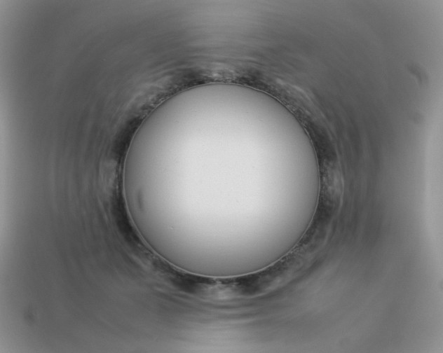 X0000113030511200909101900