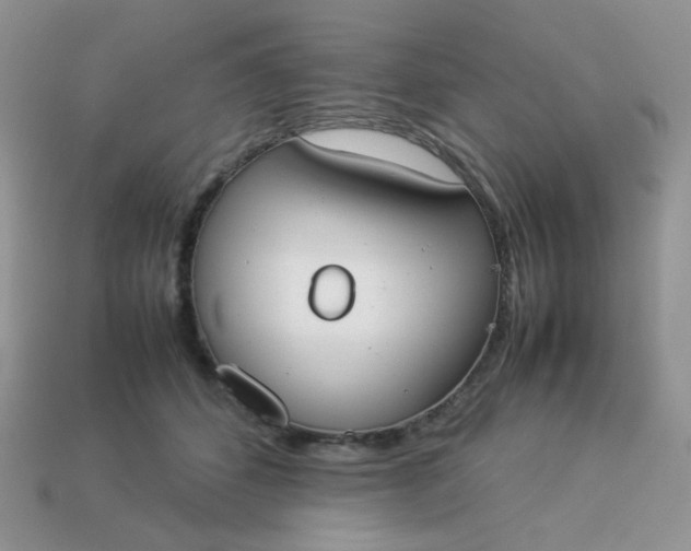 X0000113030512200909101900