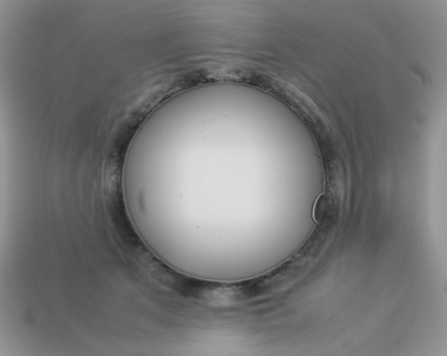 X0000113030513200909101900