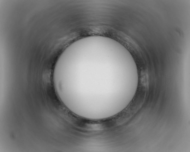 X0000113030514200909101900