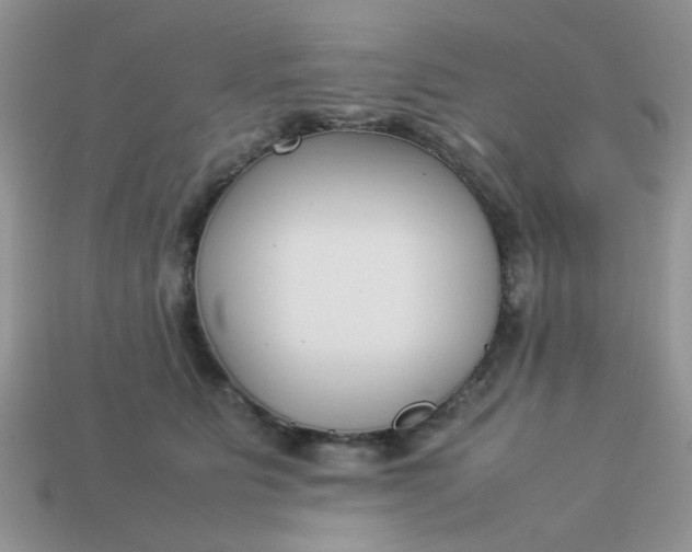 X0000113030515200909101900