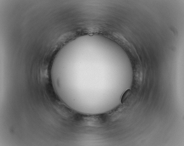 X0000113030516200909101900