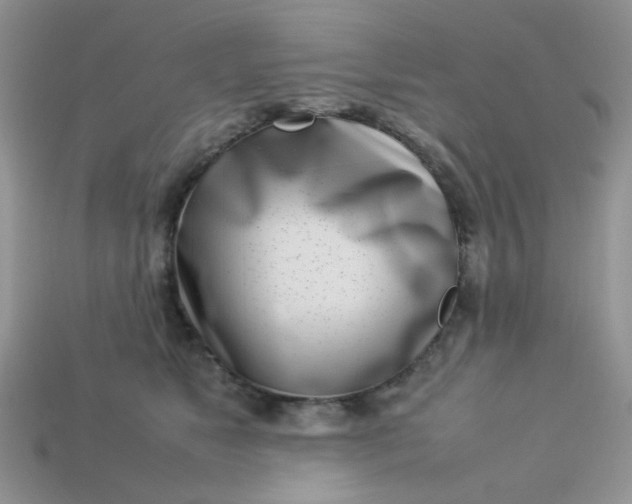 X0000113030517200909101900